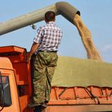 ������������� �������� ���������� ������� �� �������