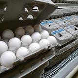 ���������������� ��������� � ������� ������������ ���