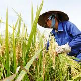 ������ � ������� �������� ���������� � ��������� �������� ����� ������