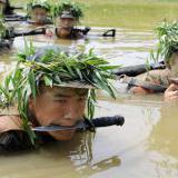   ? ,   ,     (Newsweek, )