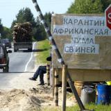 ���������������� ������� ����� ������� � ���� ������ �� �������