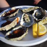 ������ ������� ������� �� �������� ������� ������ � ������