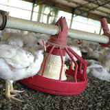 ������ ������������� ������� ����� �� ���