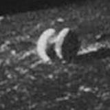      ,     1966 
