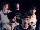 Foals    