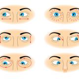 ������� ��� ����: ��� �������� � ���������� ����