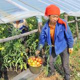 ������ ��������� �������������� ��������� ����� �������� ����� � ������