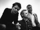 Muse    -