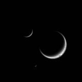  Cassini        