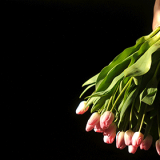 ���������� �������� ������ ������ � ������ �� ��������� ��� ������� �����