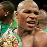         WBO