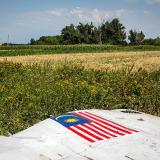     MH-17           900  ...