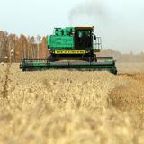 ���������� ������ ���������� ����������� � 2014 ���� �����