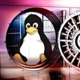      Windows  Linux
