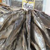 � ���������� ���������� � �������� ��������� �����