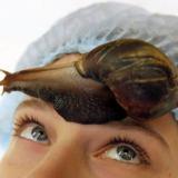 ������� ���� ������ ������� ������