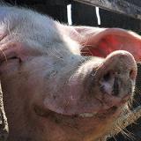 ������������� ����� � �������� ���������� ����������� ��������