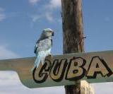 ���� �� ����� ������ ���� ��������