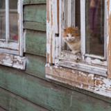 Минстрой оштрафовал регионы на 800 млн рублей  за нарушения при расселении аварийного жилья