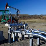 ���� ����� ����� ����� ��� �� 11 ���������