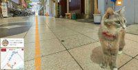   Google Street View  