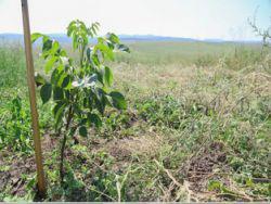 � ��������� �������� ������ � ������� �������� ����