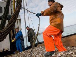 ������� ������ ������ �������