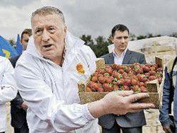 �������� �������� �� ����� ���������� �������� ��������