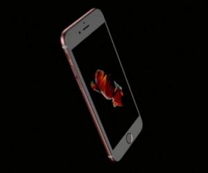 Apple  iPhone 6s  iPhone 6s Plus
