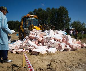 � ����������� ������� ����������� ��������� �������� ���������