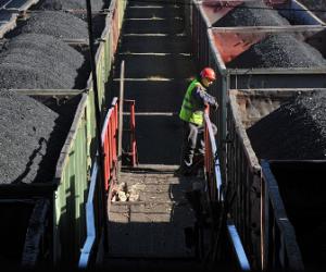 ��������� ������ �������� ����������� ����������� �� ��������� ���� �������