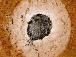 � ������ ���������� �������� ������� ������� ������