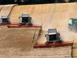 �� ������� ����� �������� ���