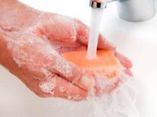 ���� � ����������� ����� �� ����� ��������, �������� ������������