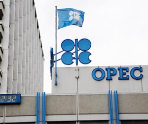 ���� ����������� ����������� ������� ����� �� 80 �������� � 2020 ����