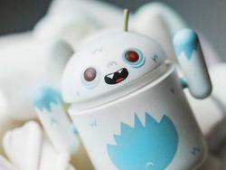 Google     Nexus-