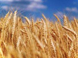 ���� � ��������