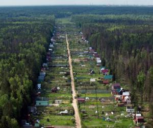 � ������������� ������ ���������� ���������� �������� �� ������ �������