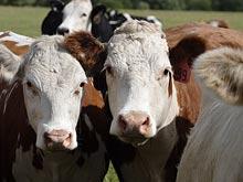 �������� ����� ������� ��������� �������� ��������� ���� � �����