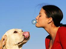 ��������: ����������� ������� ������� ������� �������