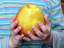 ������ - ����� ���������� ������ ����� ����������� �����