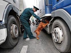 ������� ���������� ������ ���������� � ���������� �� �����