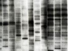 �������� ������� ����������� ����������, ������������ ������� � ���������