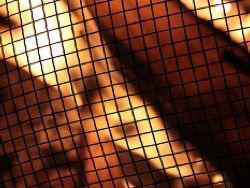 ��������� ����� ������ ������� �� ������ ���� ���������� �������