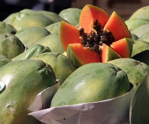 ���������������� ��������������� ������������ �������� � �������