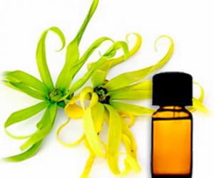 ����� ��� ����� � ������ �����-�����