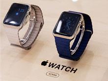 Apple Watch      140  
