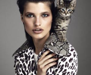 �������� � ������: ����� ����� � ������ � ������� � ��������