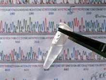 ��� �������� ����������� ������ ���������, �������� ������