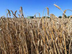 ������������� �������� ���������� ������� �� �������